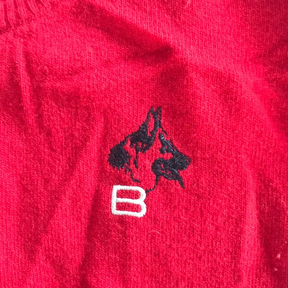 Balenciaga Knits Sweater